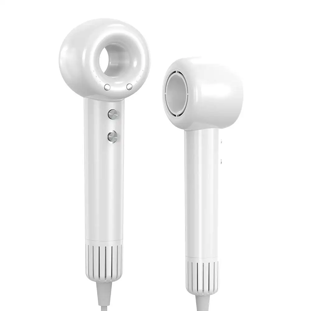 Professional Ionic High Speed Hair Dryer