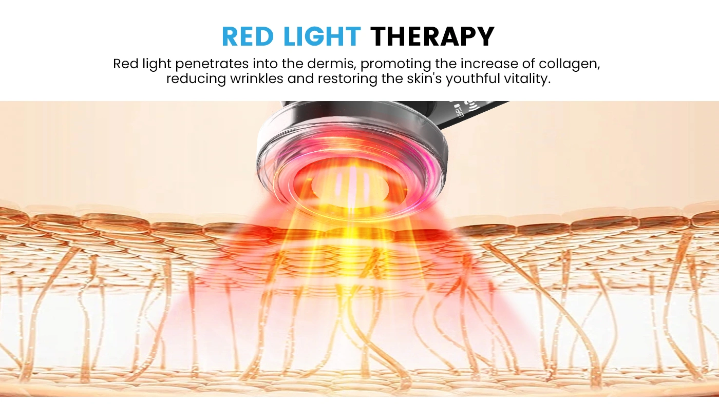 Home Use Photon Facial Beauty Device (3)