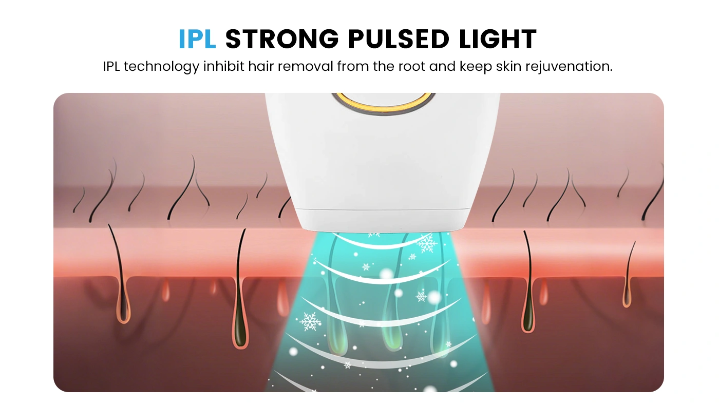 आईपीएल बालों को हटाने (4)
