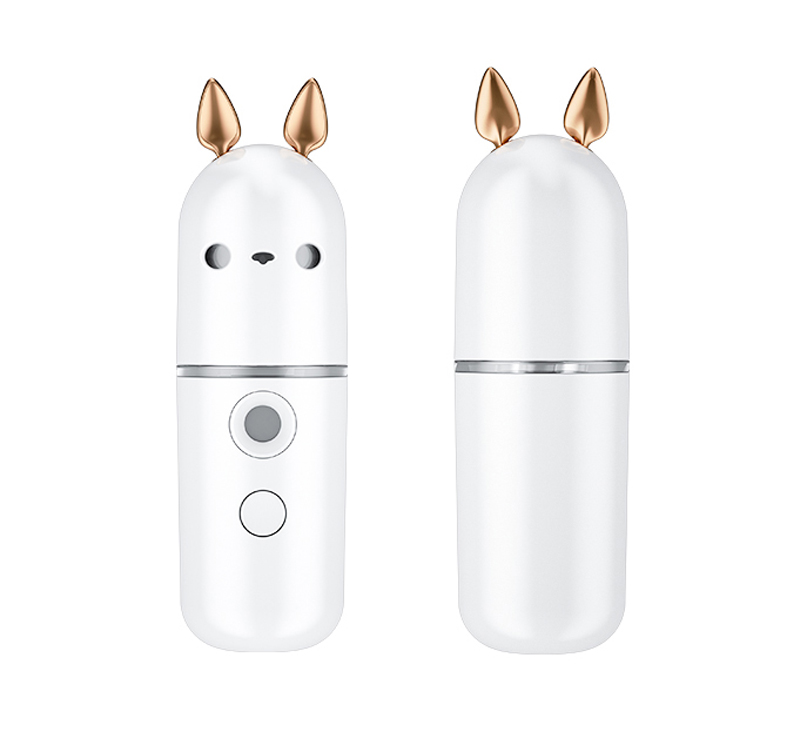 Nano Mist Sprayer
