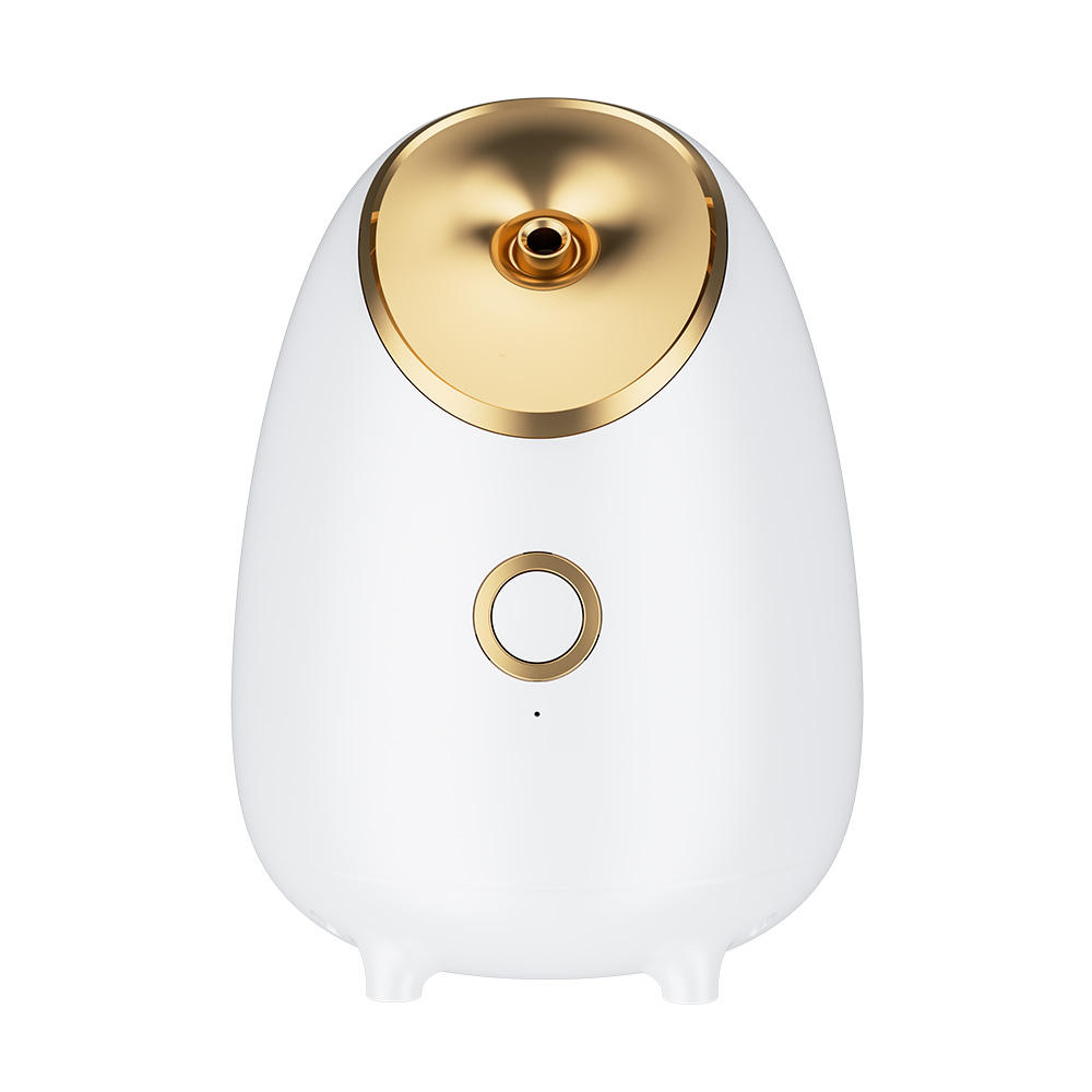 Facial Steamer